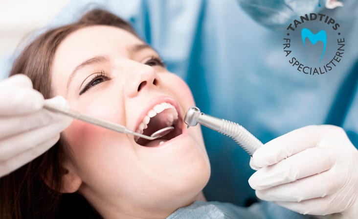 Dansk Tandforsikring taender