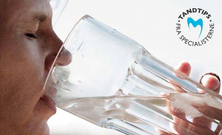 Dansk Tandforsikring hamlost